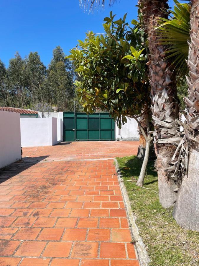 A Quinta Duna Salir de Porto Екстер'єр фото